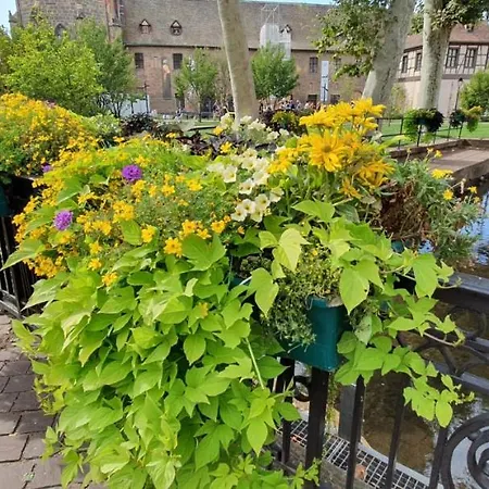 Le Red St Leon : Lit Queen Size * Wifi * Ideal Couple شقة *