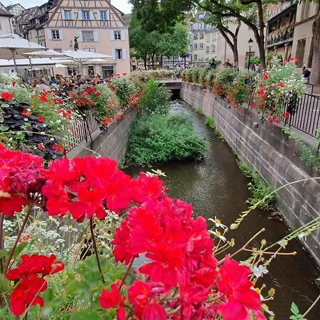 Le Red St Léon : Lit Queen Size * Wifi * Idéal Couple Apartamento Colmar